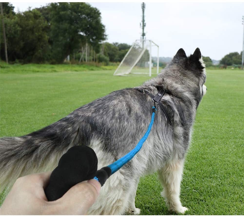 Extra Strong 5Ft Reflective Rope Dog Lead with Comfortable Foam Padded Handle - Perfect for All Dog Sizes