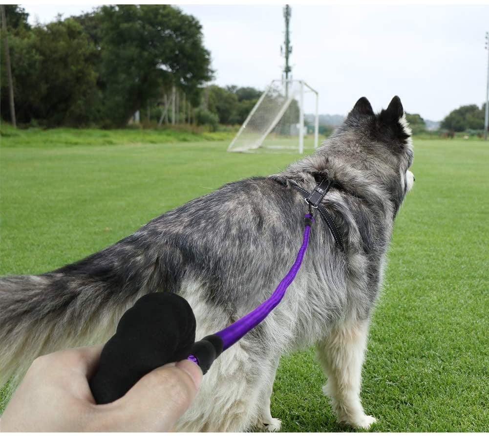 Extra Strong 5Ft Reflective Rope Dog Lead with Comfortable Foam Padded Handle - Perfect for All Dog Sizes