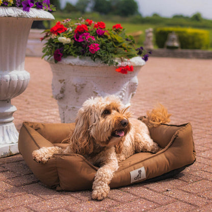 Dexter Dog Bed by All Pet Solutions - Durable, Waterproof, and Washable Basket Design