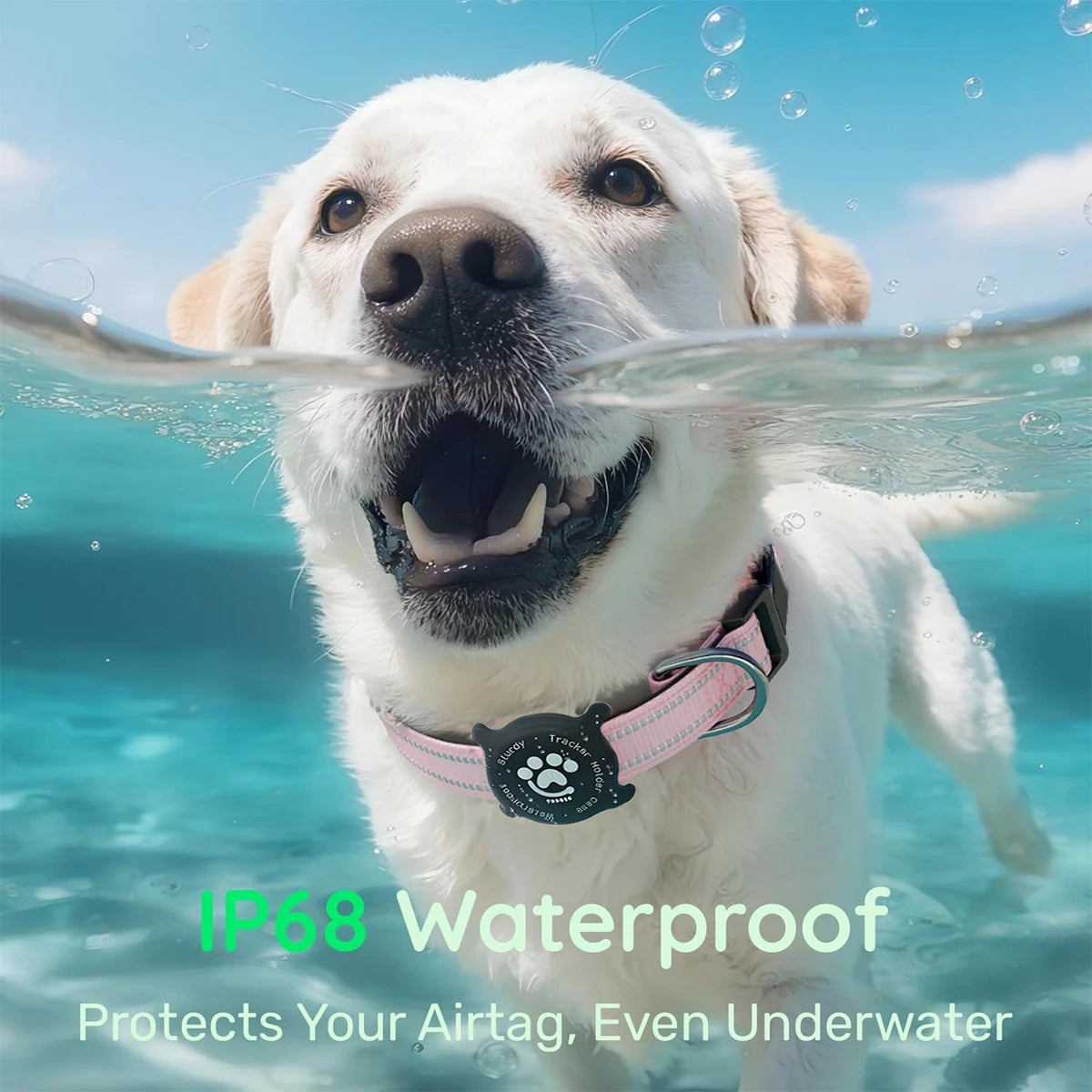 Elevate Your Dog's Safety and Style with the Taakcc Reflective Dog Collar - Featuring Luminous AirTag Holder and Waterproof Comfort