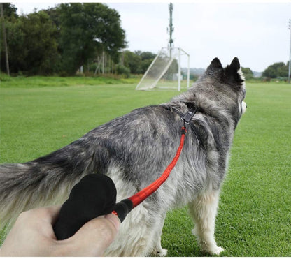 Extra Strong 5Ft Reflective Rope Dog Lead with Comfortable Foam Padded Handle - Perfect for All Dog Sizes