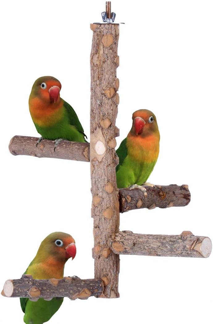 Nature-Inspired Bird Perch Stand for Small to Medium Parrots - Perfect for Play and Communication