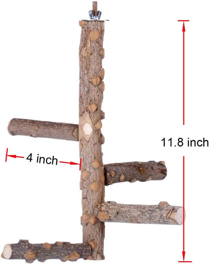 Nature-Inspired Bird Perch Stand for Small to Medium Parrots - Perfect for Play and Communication