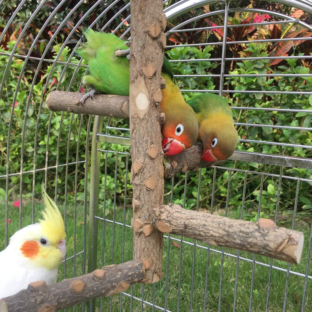Nature-Inspired Bird Perch Stand for Small to Medium Parrots - Perfect for Play and Communication