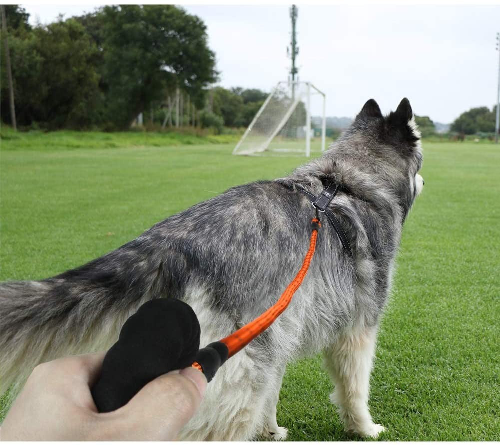 Extra Strong 5Ft Reflective Rope Dog Lead with Comfortable Foam Padded Handle - Perfect for All Dog Sizes
