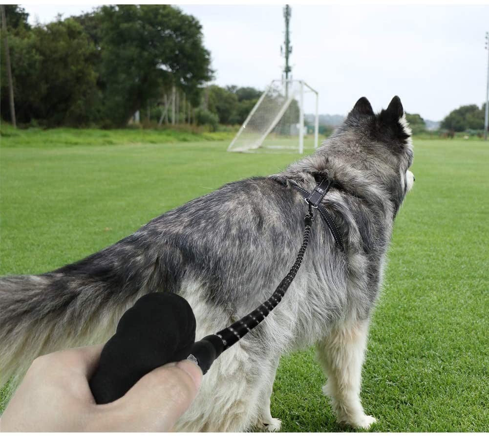 Extra Strong 5Ft Reflective Rope Dog Lead with Comfortable Foam Padded Handle - Perfect for All Dog Sizes