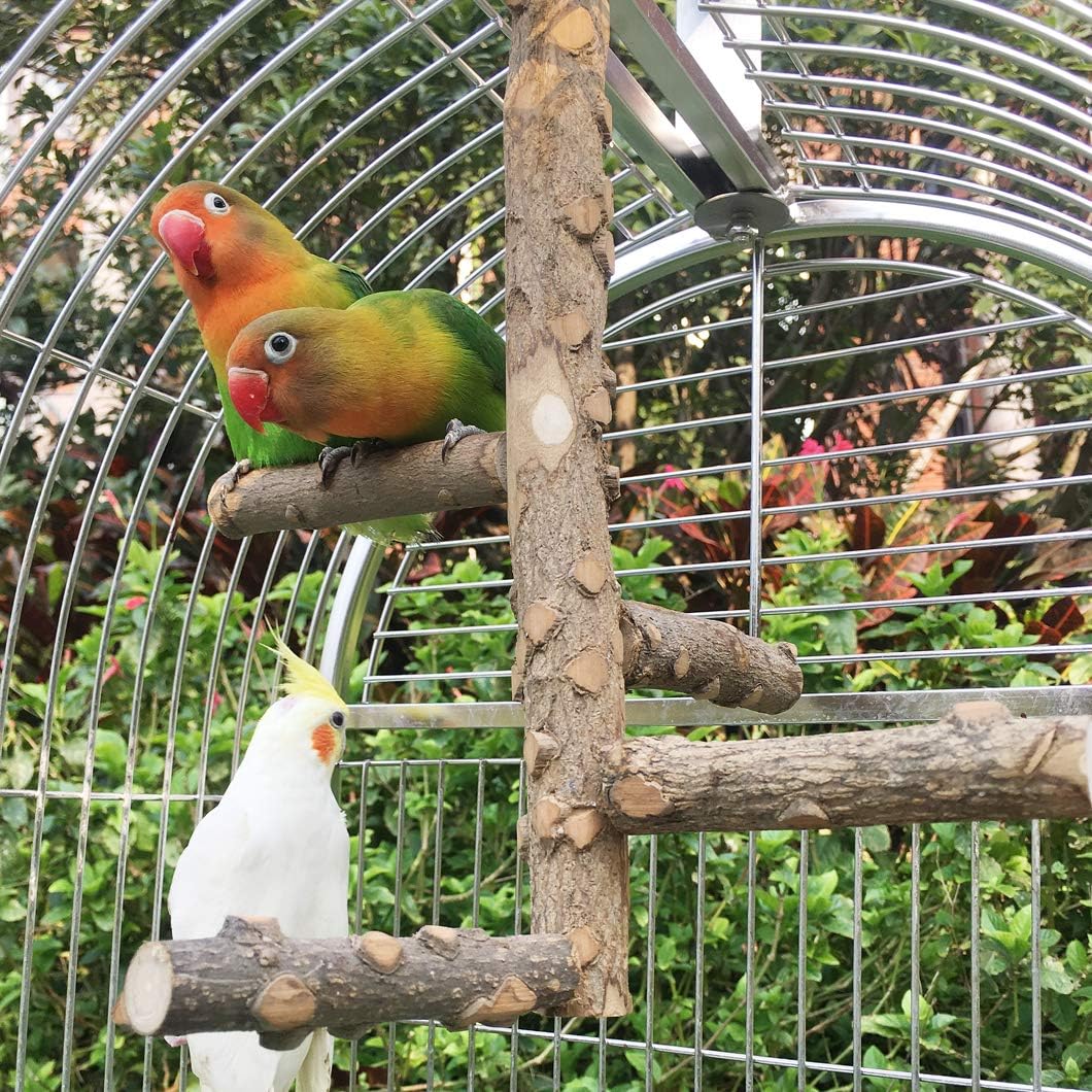 Nature-Inspired Bird Perch Stand for Small to Medium Parrots - Perfect for Play and Communication