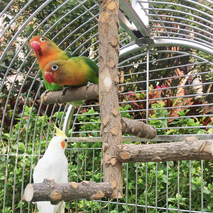 Nature-Inspired Bird Perch Stand for Small to Medium Parrots - Perfect for Play and Communication