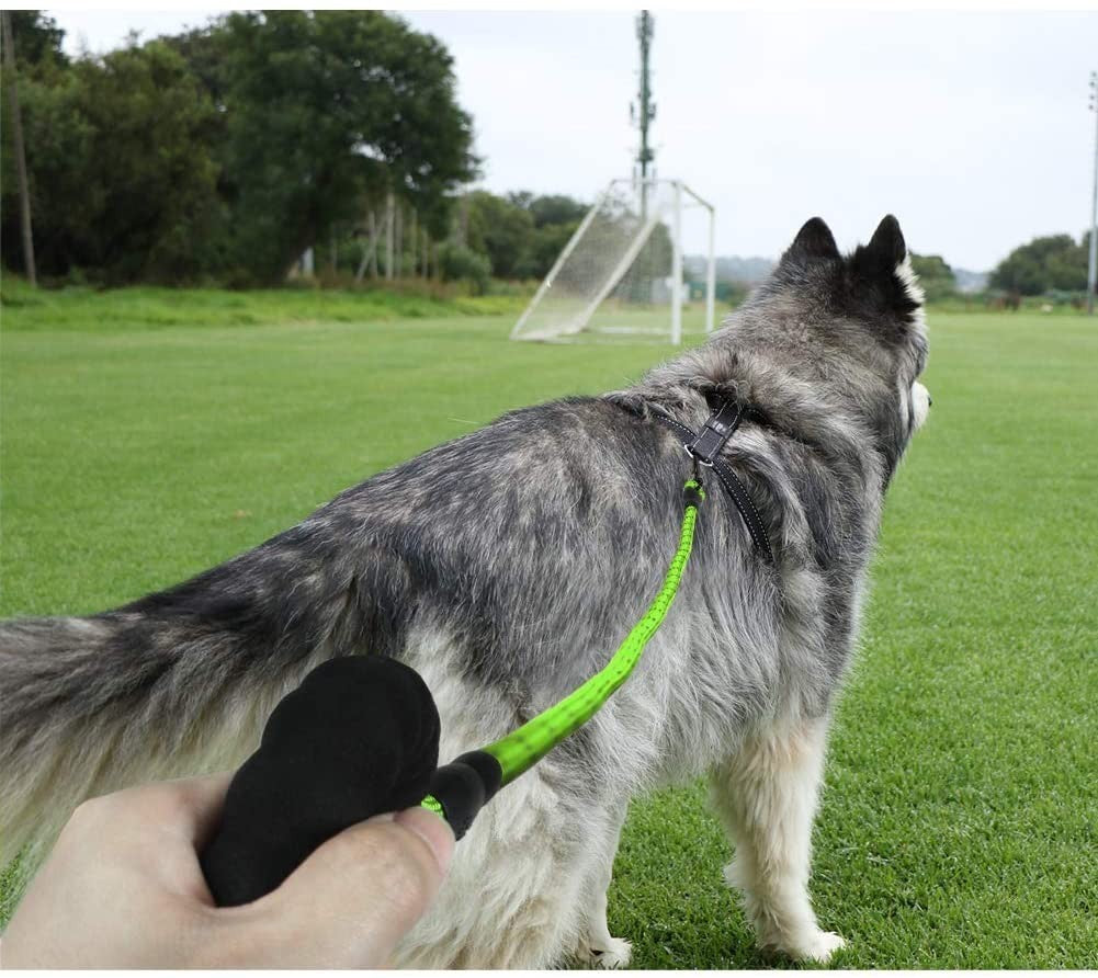 Extra Strong 5Ft Reflective Rope Dog Lead with Comfortable Foam Padded Handle - Perfect for All Dog Sizes