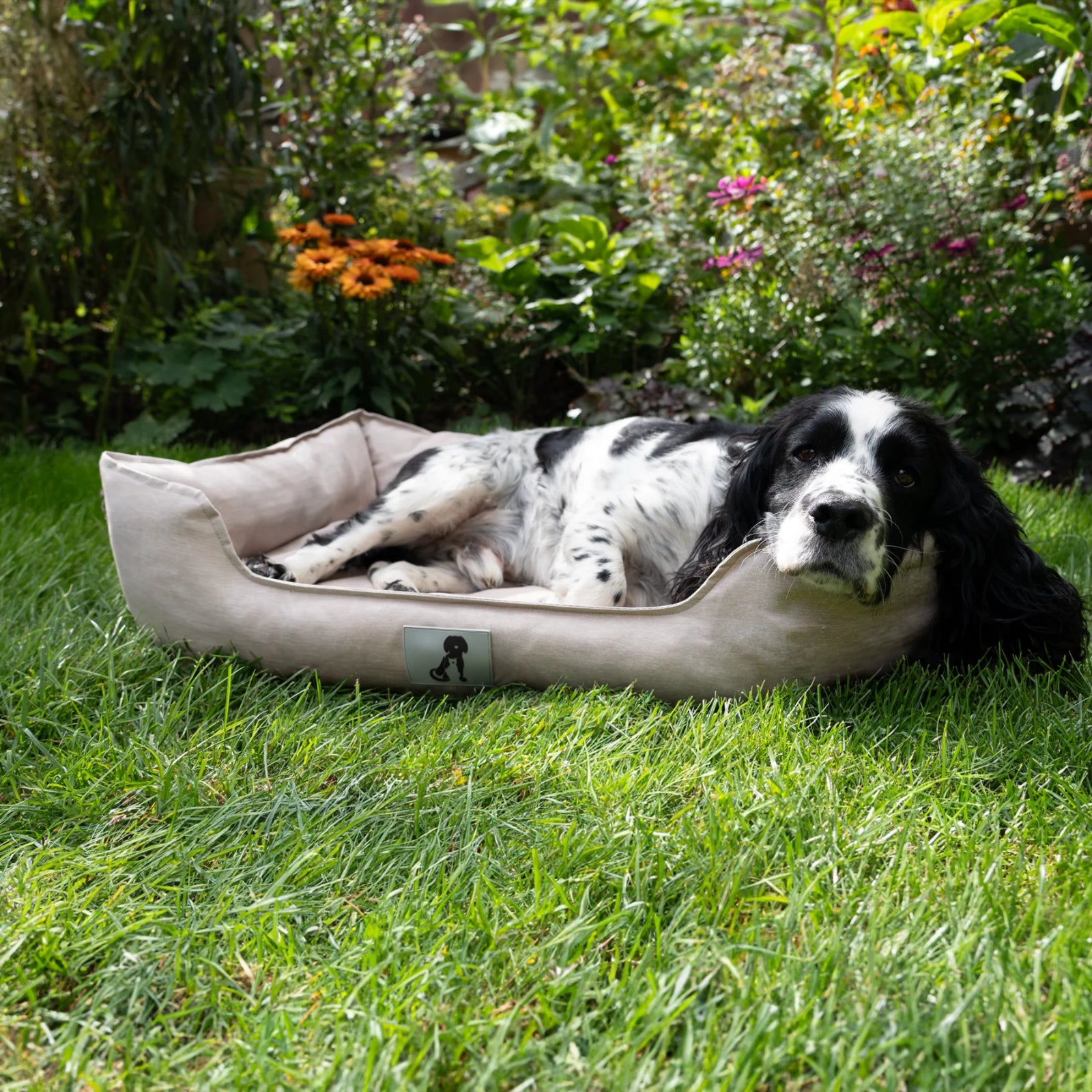 Dexter Dog Bed by All Pet Solutions - Durable, Waterproof, and Washable Basket Design