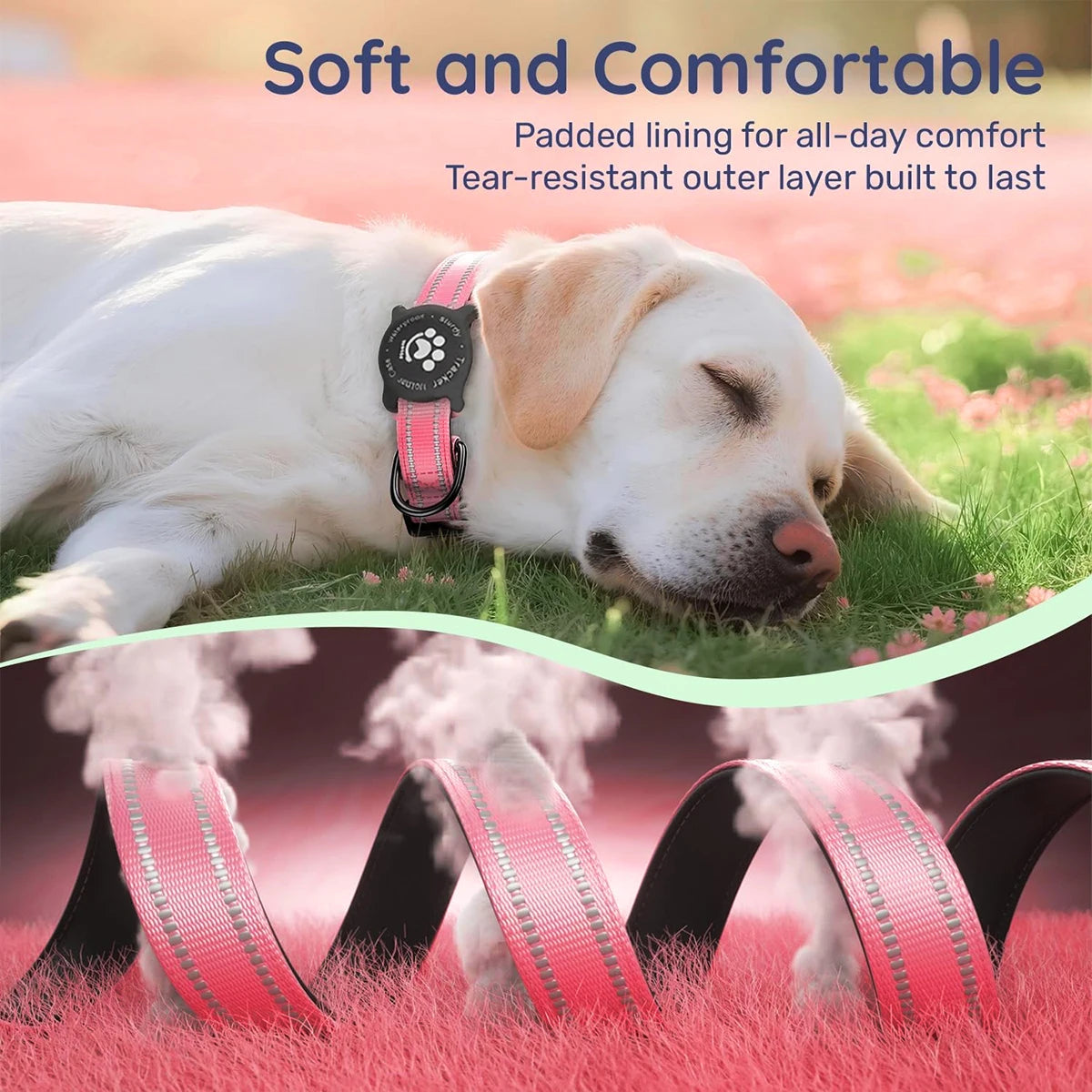 Elevate Your Dog's Safety and Style with the Taakcc Reflective Dog Collar - Featuring Luminous AirTag Holder and Waterproof Comfort
